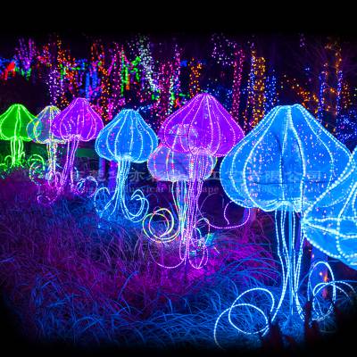 灯展举办城市广场楼盘小区春节彩灯四川队伍制作公司图1