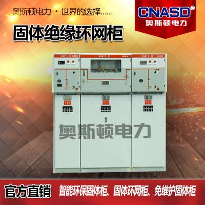 固体绝缘环网柜 智能环保固体柜 固体环网柜 免维护固体柜