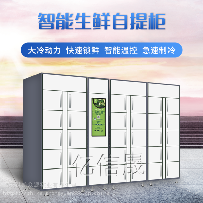 小区医院学校智能生鲜柜冷藏柜保鲜柜联网柜储物柜环保柜***图1