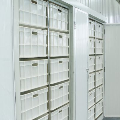 多功能豆芽机视频 豆芽机智能操作省人工 节水节能环保图2