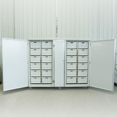 多功能豆芽机视频 豆芽机智能操作省人工 节水节能环保图3