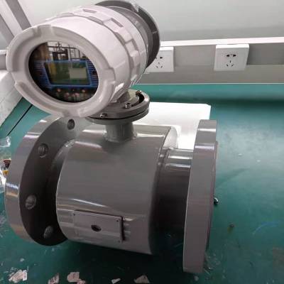 LDG-250S-M2F100P1N工业废水电磁流量计图1