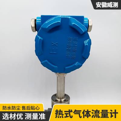 威测测控智能数字化小量程工业用管道式热式气体流量计图2