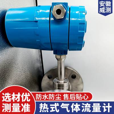 插入式小量程智能一体化威测测控温差补偿工业用热式气体流量计