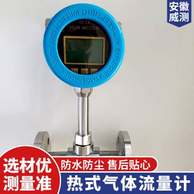 螺纹式大口径工业用智能一体化甲烷热式气体流量计图3