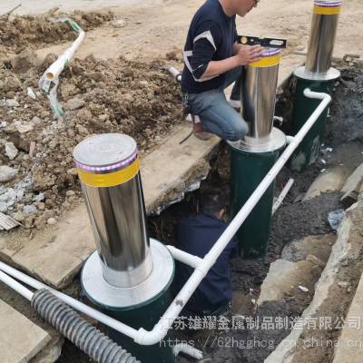 苏浙沪张家港无锡南通苏州泰州市电动门工业门旋转门生产厂家图2