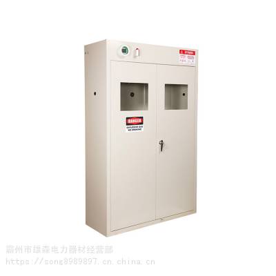 雄森智能三瓶型气瓶柜三瓶型气瓶储存柜工业安全防爆柜图1