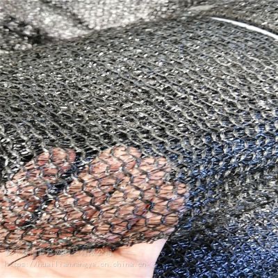 六针黑色大棚网 乌鲁木齐防晒网 工业用防尘网图1