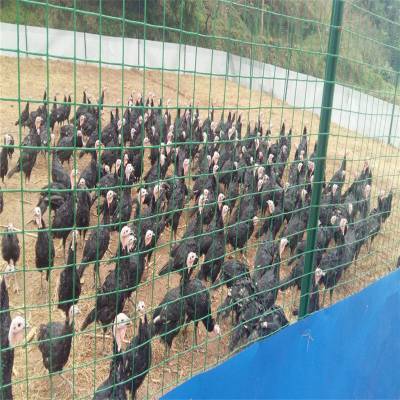 荷兰网销售 工业围栏 养殖网批发图3