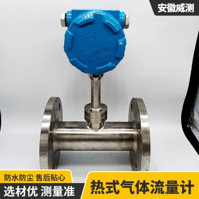 插入式小量程工业用智能数字化甲烷热式气体流量计