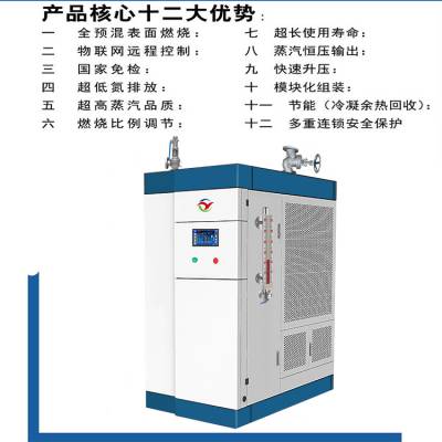 变频模块蒸汽源机工业生产 全智能模块蒸汽源机节能环保 可按需定制