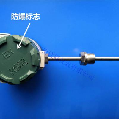 智能地温度显示仪 PT100热电阻 电池供电表头温度显示仪 防爆温度显示仪 防爆温湿度计图3