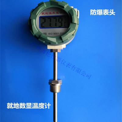 智能地温度显示仪 PT100热电阻 电池供电表头温度显示仪 防爆温度显示仪 防爆温湿度计图1