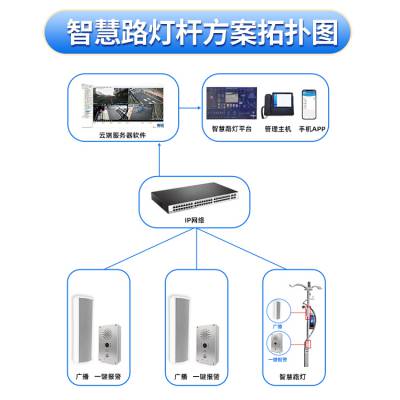 笛虎城市智慧路灯杆 安装简单通电即用T-M25智慧路灯杆厂家价格