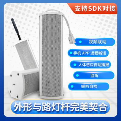 笛虎城市智慧路灯杆 安装简单通电即用T-M25智慧路灯杆厂家价格图3