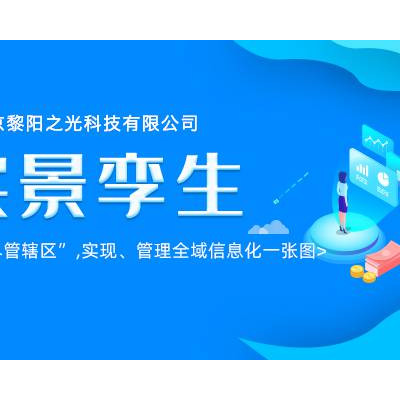 智慧城市数据实景孪生软件 服务至上 北京黎阳之光科技供应