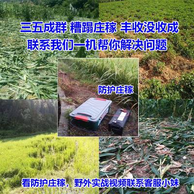 智能全自动 12V 电子网芯片 高压拉线电源 转换器全套图3