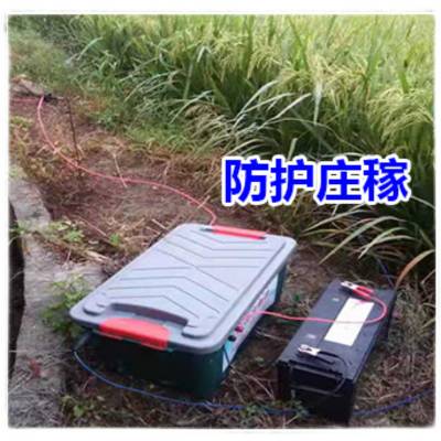 智能全自动 12V 电子网芯片 高压拉线电源 转换器全套图1