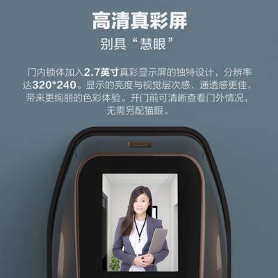海康威视萤石DL30VS 可视智能锁wifi远程指纹密码家用防盗门电子门锁猫眼云图3