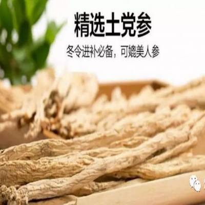 玫瑰烘干机 电子控温控湿烘干房 小型层烘干箱图2