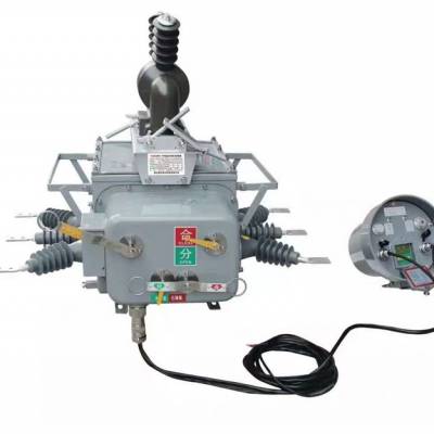 FZW20-12高压真空分界开关，电子看门狗图3