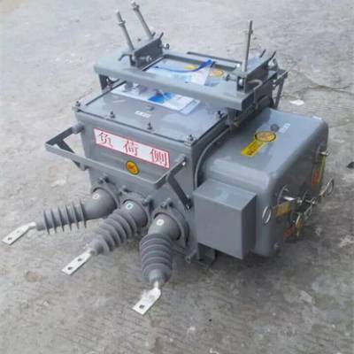 FZW20-12高压真空分界开关，电子看门狗图1