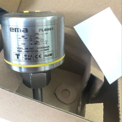 EMA/伊玛 FL6001智能型电子式流动传感器 流量开关图3