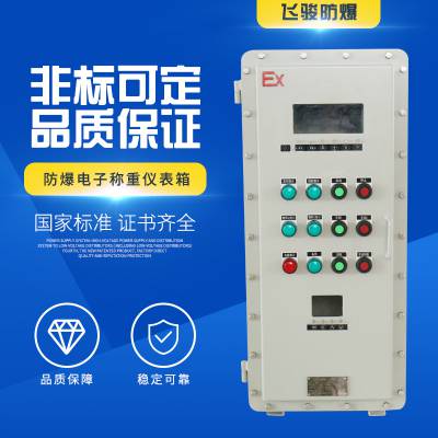 飞骏 户外立式 粉尘防爆仪表箱 智能数显防爆控制箱BYB51-T图1