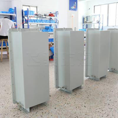 飞骏 户外立式 粉尘防爆仪表箱 智能数显防爆控制箱BYB51-T图2