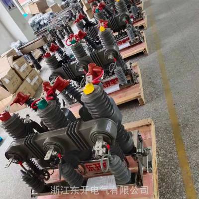 ZW32-12F电子看门狗带SIM卡独立零序20/1智能真空断路器带隔离刀闸图1