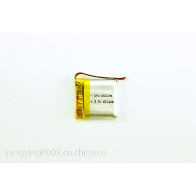 智能手表电池_3.7v 600mAh LP653030 聚合物电池 聚合物电池厂家图2