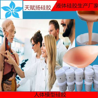连体义乳假胸硅胶 人工穿戴义乳硅胶 实体娃娃硅胶图3