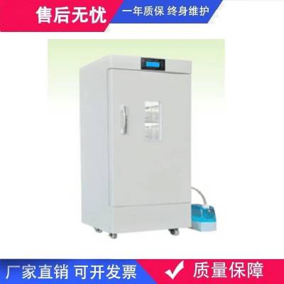 RXZ-500A/500B/500C/500D智能人工气候箱图2