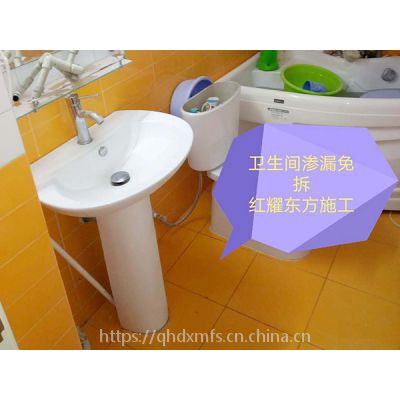 卫生间，暗埋管漏水人工智能（AI）排查 维修图3