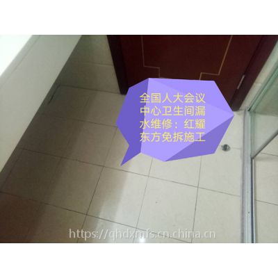 卫生间，暗埋管漏水人工智能（AI）排查 维修图2