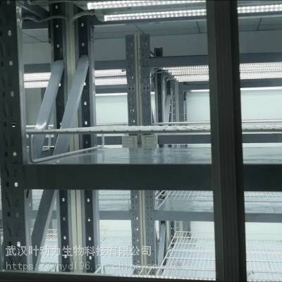 武汉叶动力 植物组织组培室 人工智能组培室 节能型组培间方案设计项目建设 整体工程建设规划图3