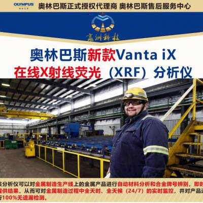 人工智能钢材材料分析系统 Vanta iX分钢仪 在线检测钢材材料图2