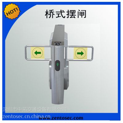 供应桥式斜角摆闸，标准桥式斜角摆闸，标准摆闸图3