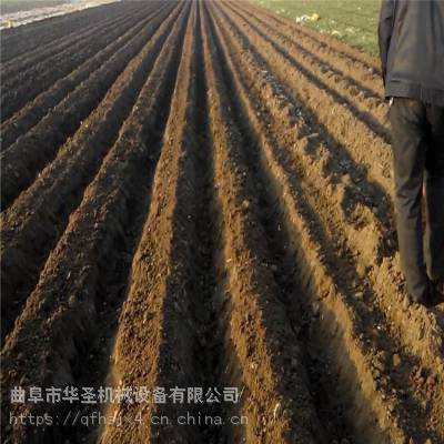 大棚压垄开沟机 农业小型开沟机厂家 自走式大棚土豆开沟机图2
