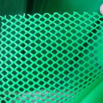 农业养殖塑料平网 大棚育苗塑料网 水产养殖网价格图2