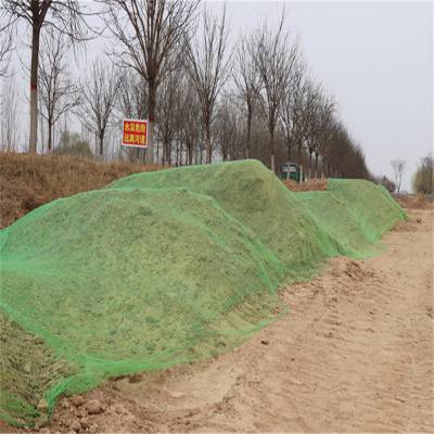 工地防尘绿网 建筑遮阳网 环保检查绿网图3