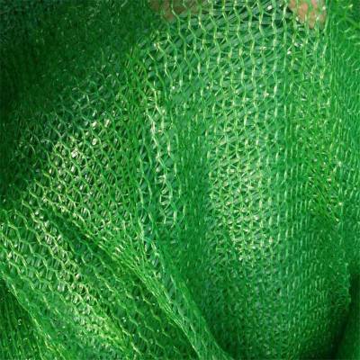 工地防尘绿网 建筑遮阳网 环保检查绿网图2