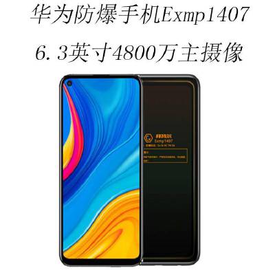 海纳环保防爆智能手机化工图3