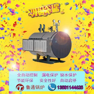 鲁通CWNS智能控制电热工业锅炉桥梁建筑养护用常压立式电热蒸汽发生器图2