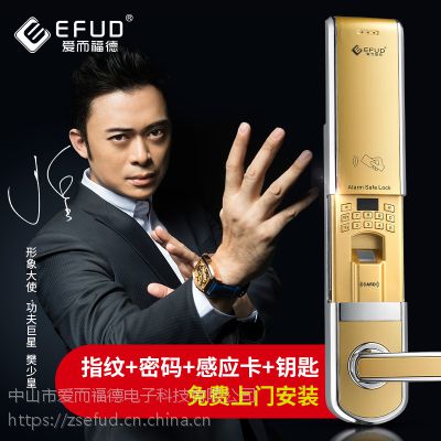 EFUD 防盗门***电子锁 群升防盗门智能锁， 指纹锁工厂直营