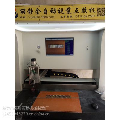 东莞丽静CCD智能扫描视觉点胶机、高***LED视觉点胶机