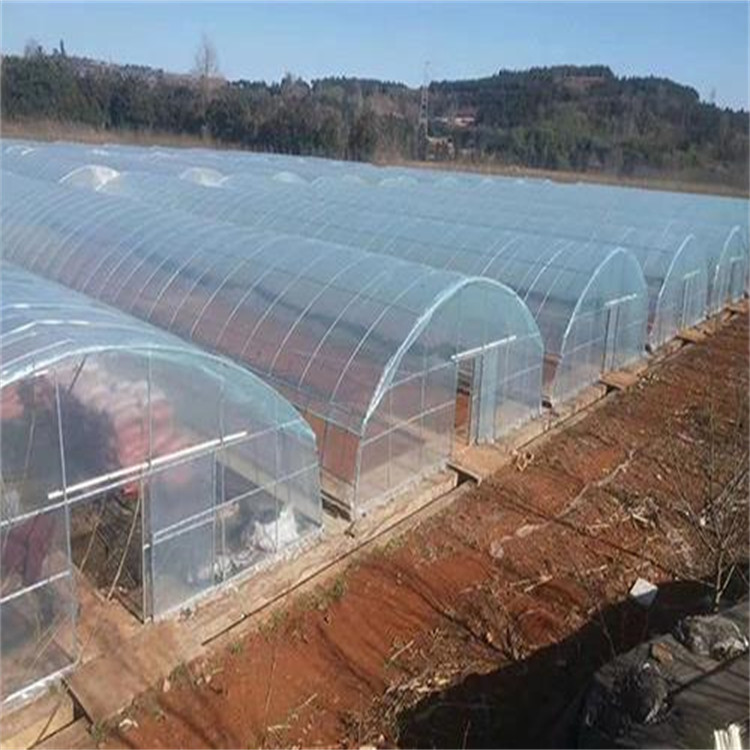 智能薄膜温室 连栋温室 连栋大棚遮阳传动系统 连体大棚 薄膜连体温室 丰之源农业图2