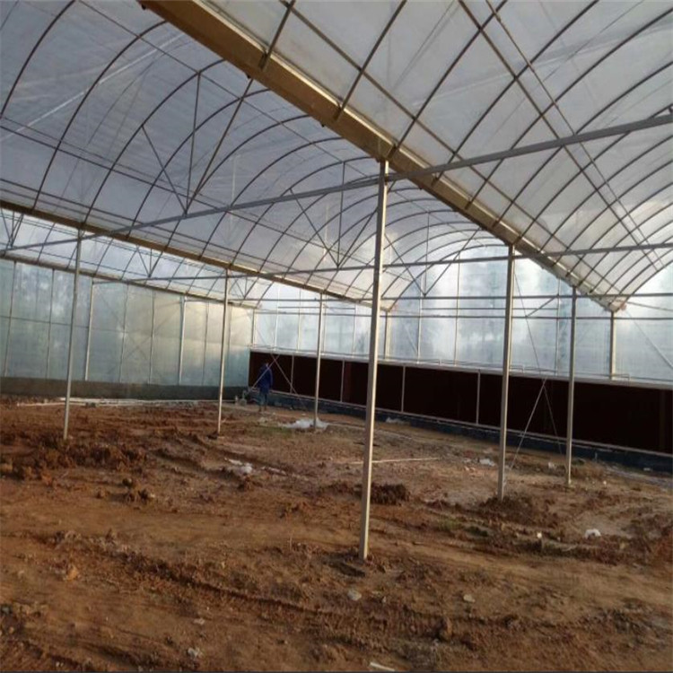 智能薄膜温室 连栋温室 连栋大棚遮阳传动系统 连体大棚 薄膜连体温室 丰之源农业图1