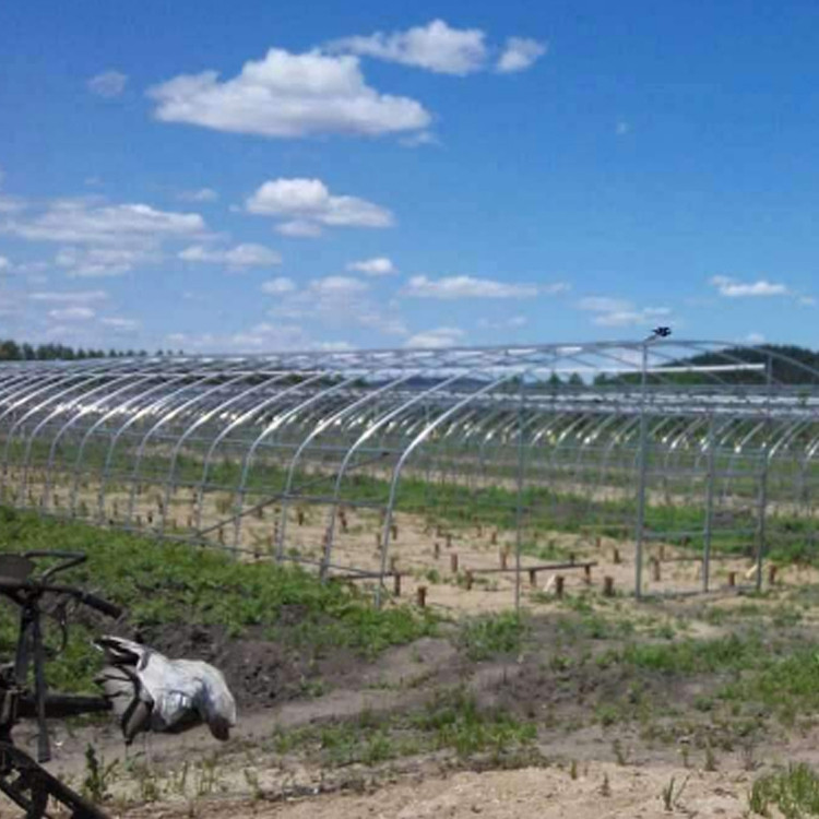 大棚骨架农业 智能玻璃温室造价 国标大棚管 大棚温室施工图3