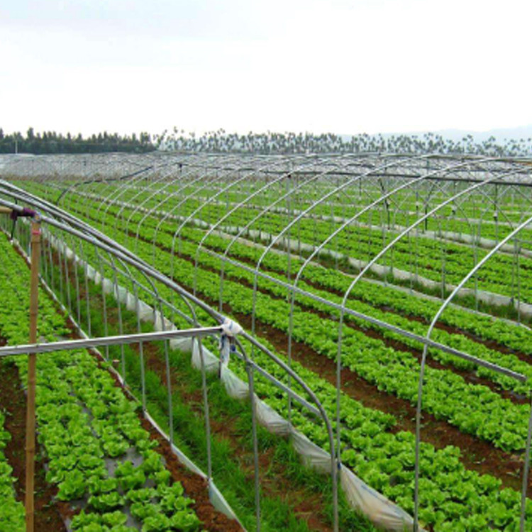 大棚骨架农业 智能玻璃温室造价 国标大棚管 大棚温室施工图2